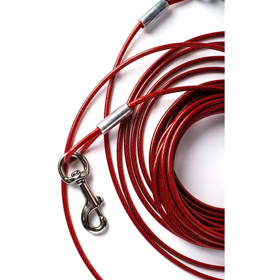 Prevue Pet Products 10 Foot Tie-out Cable Medium Duty Photo 2