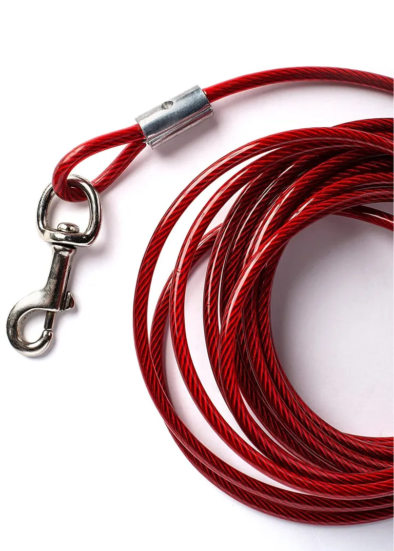 Prevue Pet Products 15 Foot Tie-out Cable Medium Duty Photo 2