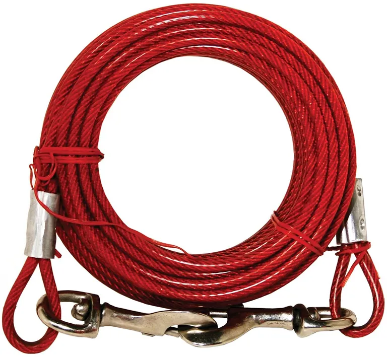 Prevue Pet Products 20 Foot Tie-out Cable Medium Duty Photo 2