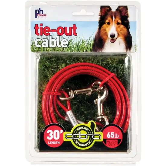 Prevue Pet Products 30 Foot Tie-out Cable Medium Duty Photo 1