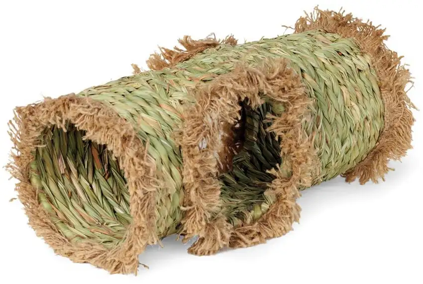Prevue Pet Products Grass Tunnel - 1098 Photo 1