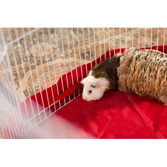 Prevue Pet Products Grass Tunnel - 1098 Photo 2