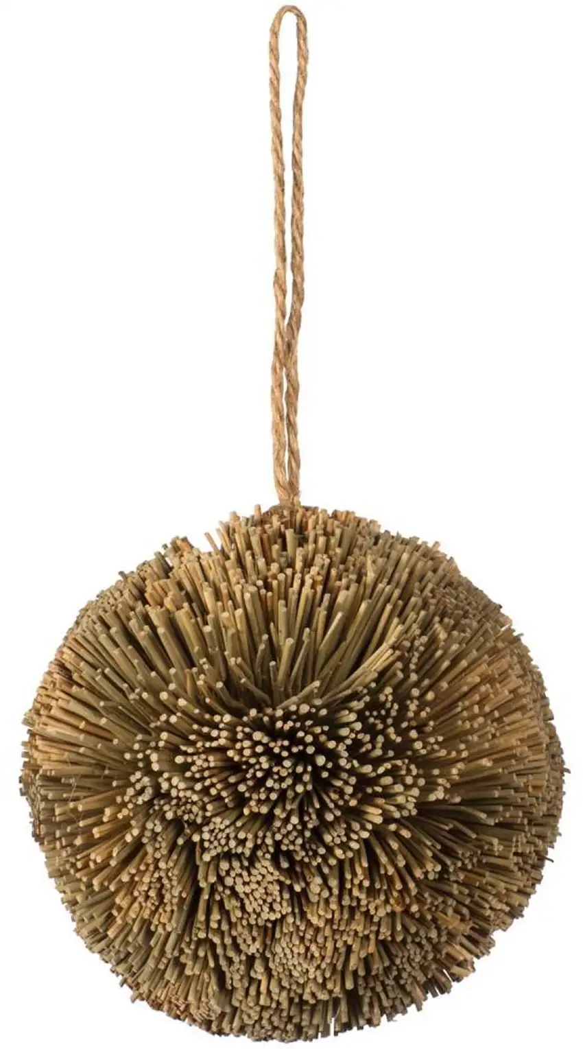 Prevue Pet Products Grassy Nibblers Activity Ball - 1090 Photo 1