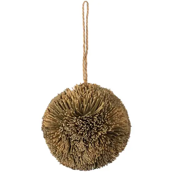 Prevue Pet Products Grassy Nibblers Activity Ball - 1090 Photo 1
