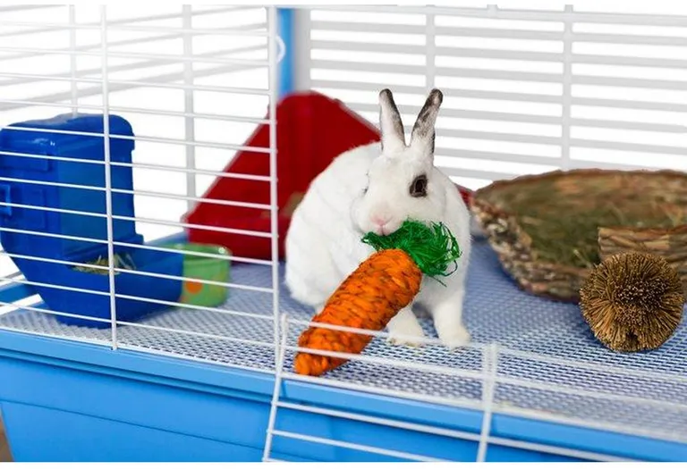 Prevue Pet Products Grassy Nibblers Carrot - 1082 Photo 2