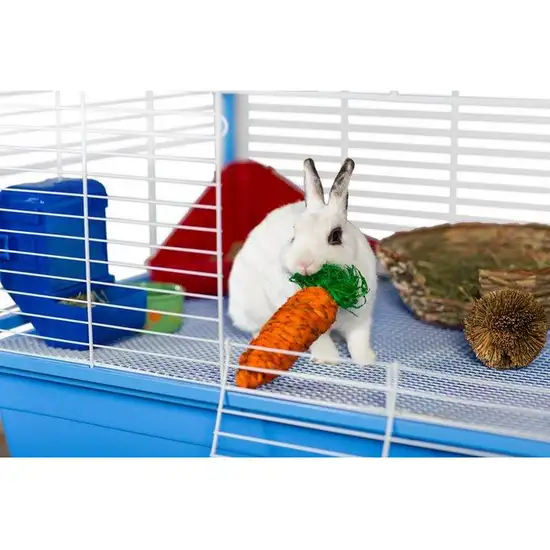 Prevue Pet Products Grassy Nibblers Carrot - 1082 Photo 2
