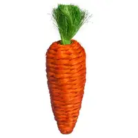 Photo of Prevue Pet Products Grassy Nibblers Carrot - 1082