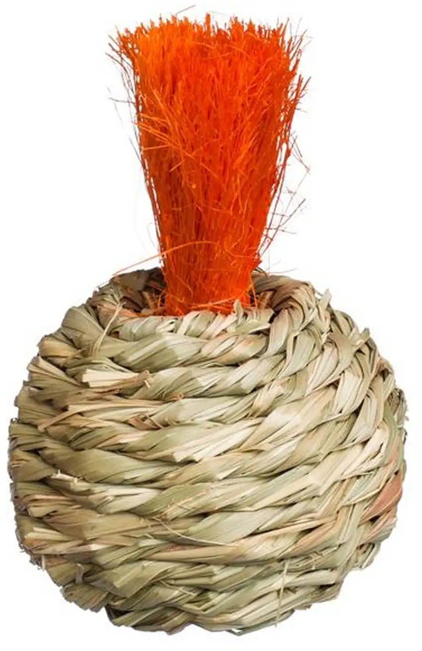 Prevue Pet Products Grassy Nibblers Squash - 1080 Photo 1