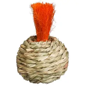 Photo of Prevue Pet Products Grassy Nibblers Squash - 1080