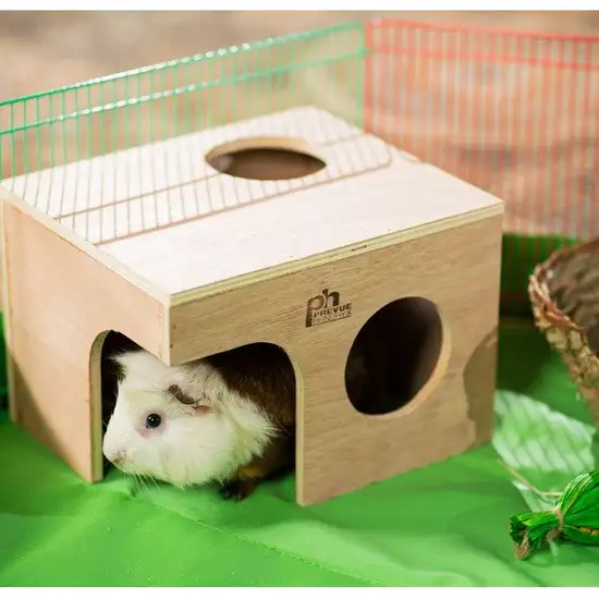 Prevue Pet Products Guinea Pig Hut - 1122 Photo 2