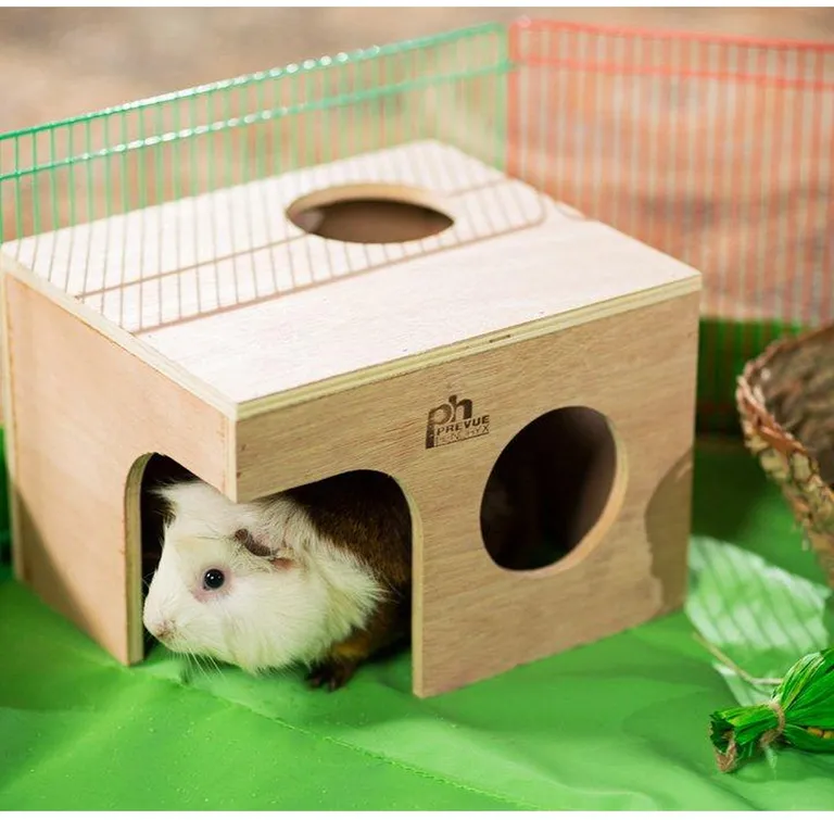Prevue Pet Products Guinea Pig Hut - 1122 Photo 2