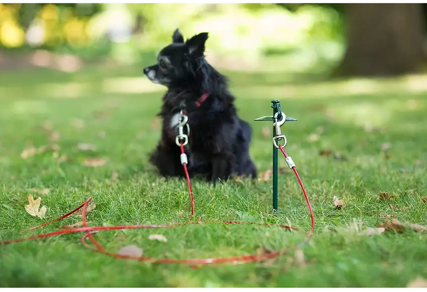Prevue Pet Products 24 Inch Tie-out Dome Stake with 12 Foot Cable Photo 3