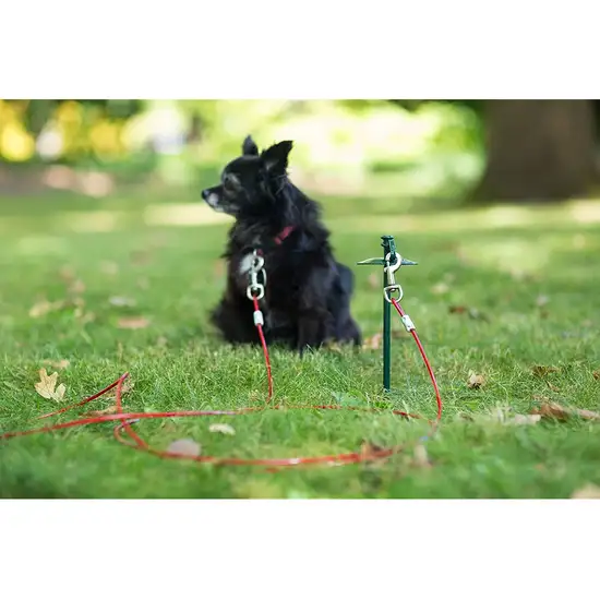 Prevue Pet Products 24 Inch Tie-out Dome Stake with 12 Foot Cable Photo 3