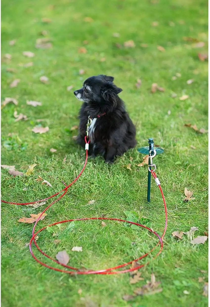 Prevue Pet Products 24 Inch Tie-out Dome Stake with 12 Foot Cable Photo 4