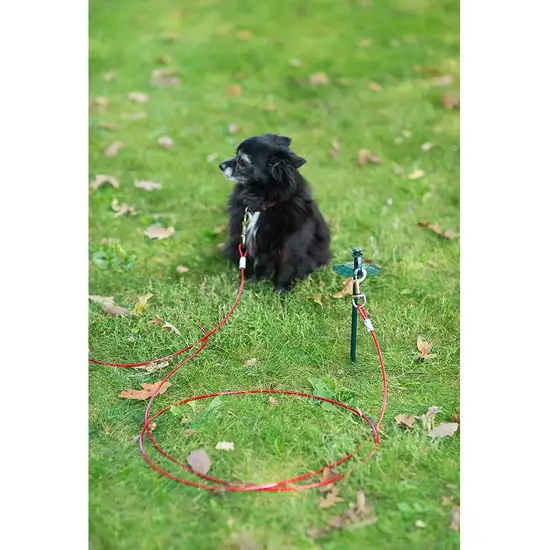 Prevue Pet Products 24 Inch Tie-out Dome Stake with 12 Foot Cable Photo 4