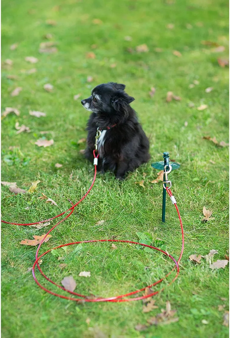 Prevue Pet Products 24 Inch Tie-out Dome Stake with 12 Foot Cable Photo 4