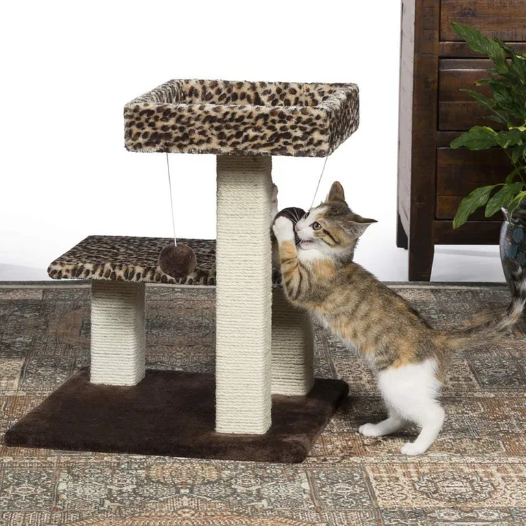Prevue Pet Products Kitty Power Paws Leopard Terrace Photo 4
