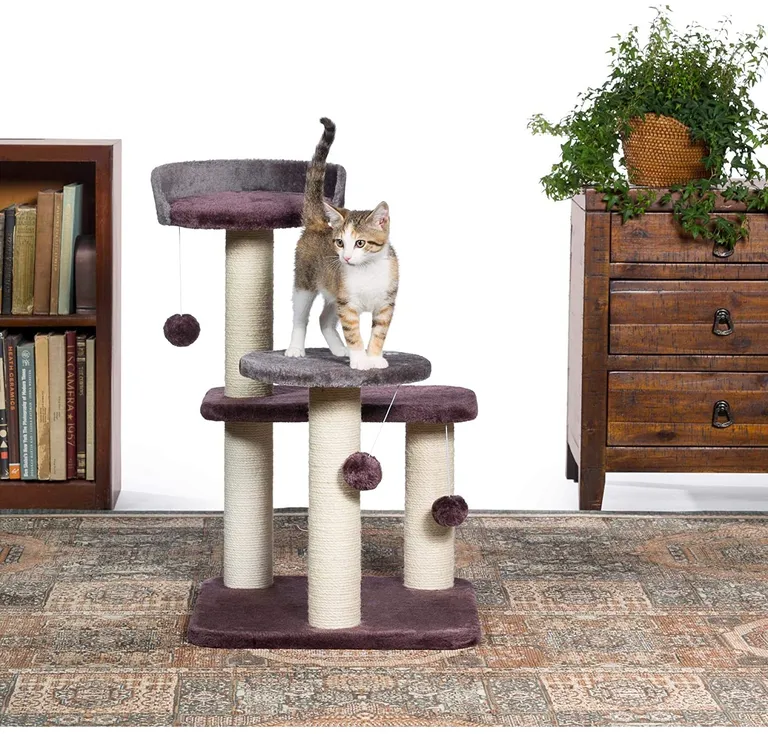 Prevue Pet Products Kitty Power Paws Play Palace Photo 2