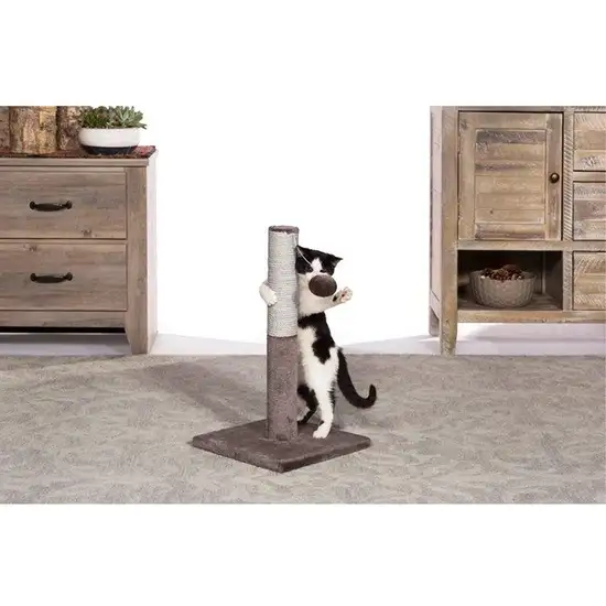 Prevue Pet Products Kitty Power Paws Play & Scratch Photo 2
