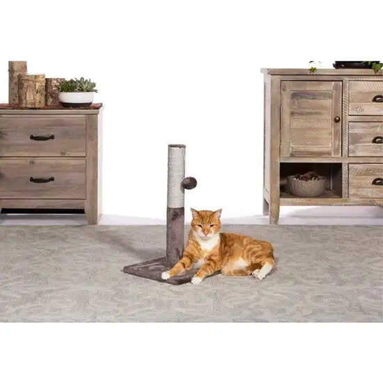 Prevue Pet Products Kitty Power Paws Play & Scratch Photo 4