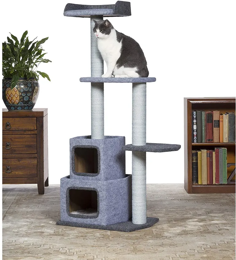Prevue Pet Products Kitty Power Paws Sky Tower Photo 4