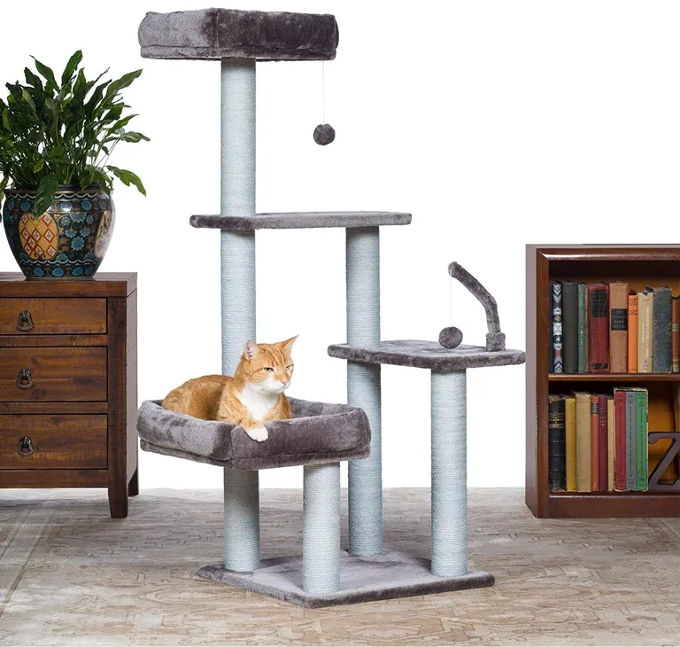 Prevue Pet Products Kitty Power Paws The Ritz Photo 2