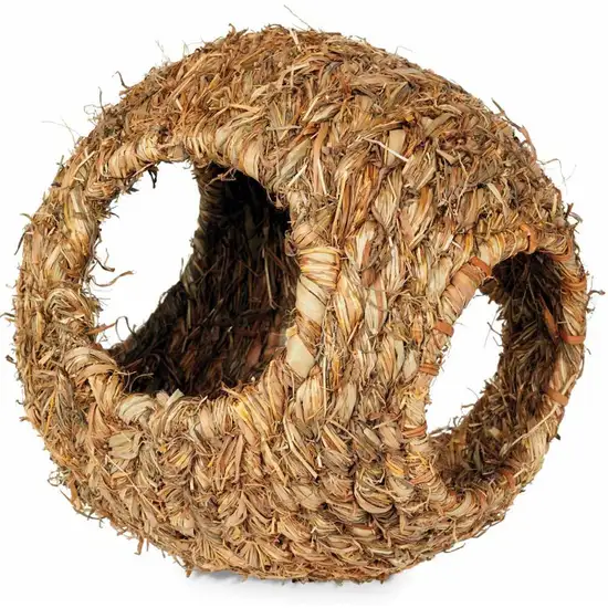 Prevue Pet Products Large Grass Ball - 1095 Photo 1