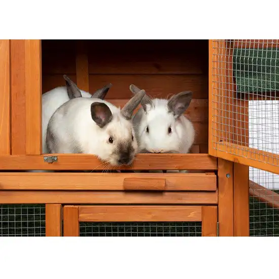 Prevue Pet Products Rabbit Hutch with Double Run Photo 4