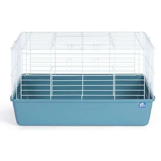 Prevue Pet Products Small Animal Tubby 522- Ice Blue Photo 2