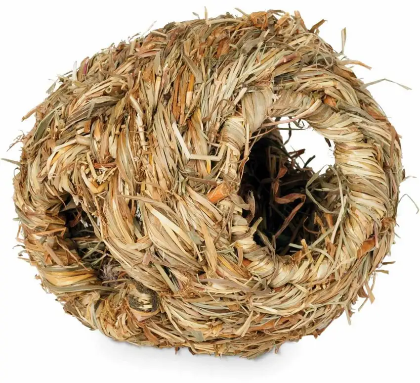 Prevue Pet Products Small Grass Ball - 1093 Photo 1