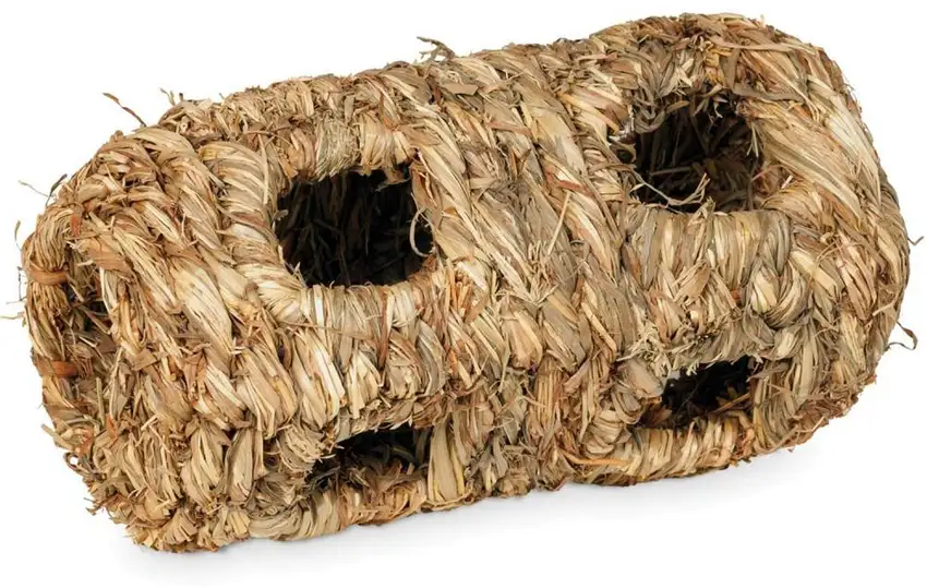 Prevue Pet Products Small Grass Tunnel - 1092 Photo 1