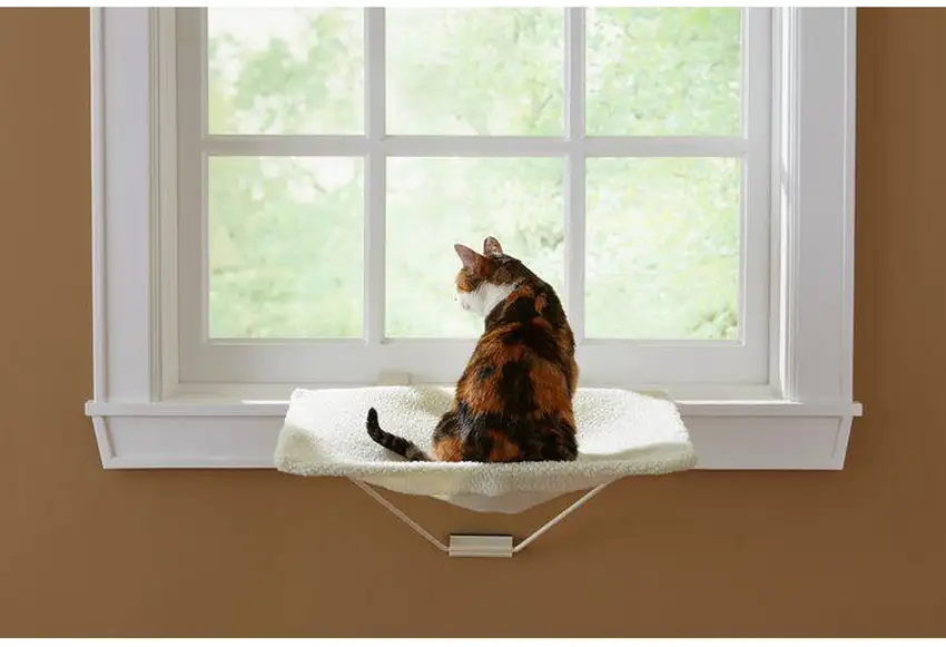 Prevue Pet Products TabbyNapper Cat Window Seat Photo 3