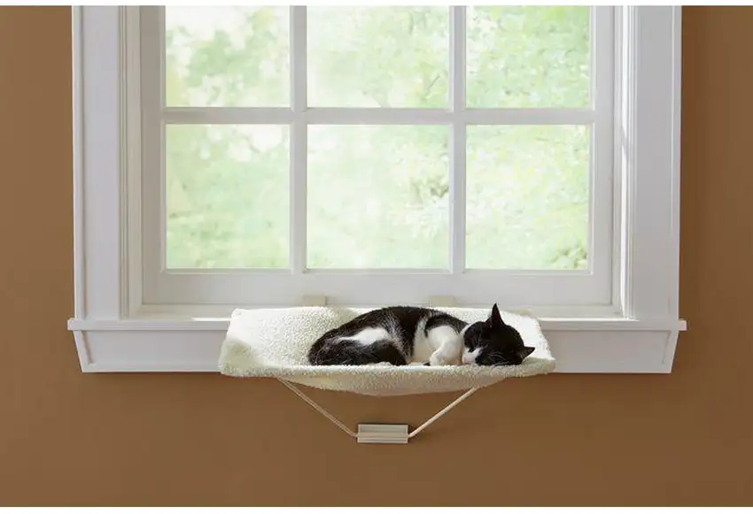 Prevue Pet Products TabbyNapper Cat Window Seat Photo 4