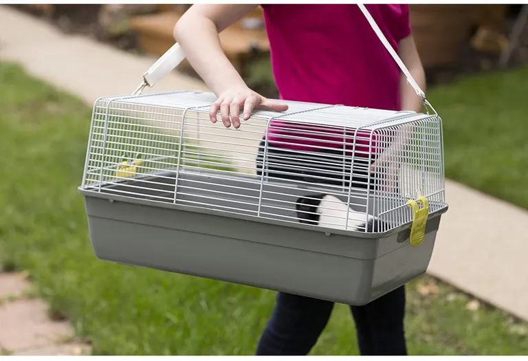 Prevue Pet Products Universal Pet Carrier - Gray Photo 4