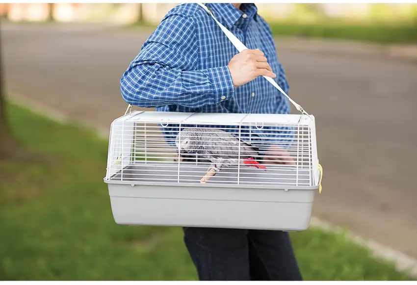 Prevue Pet Products Universal Pet Carrier - Gray Photo 3