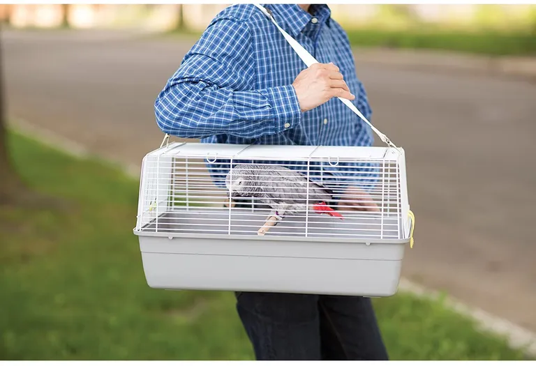 Prevue Pet Products Universal Pet Carrier - Gray Photo 3