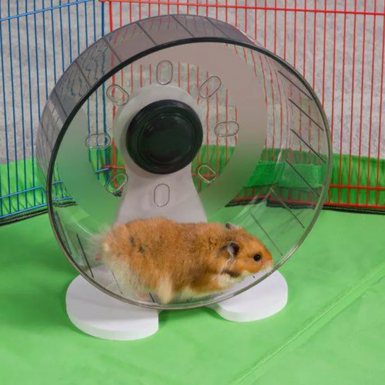 Prevue Quiet Wheel Exercise Wheel for Small Pets Photo 4