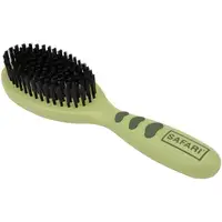 Photo of Safari Bristle Brush