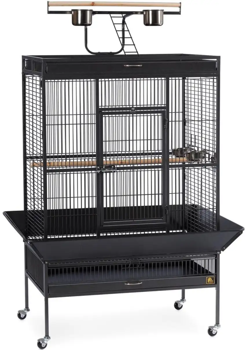 Select Wrought Iron Play Top Parrot Cage - Black Photo 1