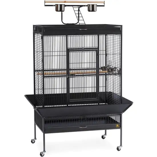 Select Wrought Iron Play Top Parrot Cage - Chalk White Photo 1