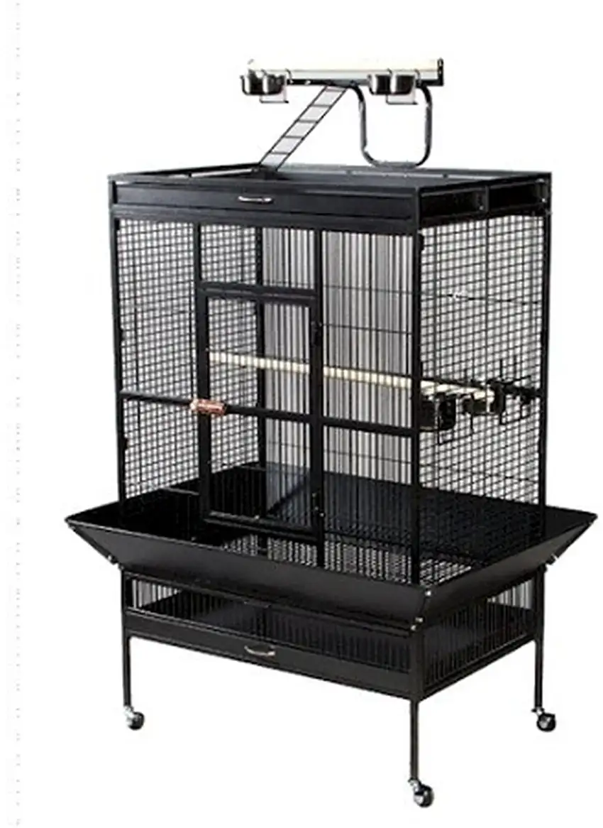 Select Wrought Iron Play Top Parrot Cage - Coco Brown Photo 1