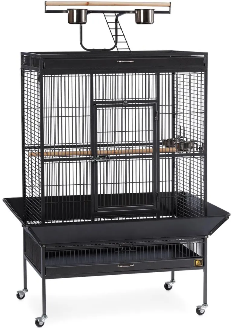 Select Wrought Iron Play Top Parrot Cage - Coco Brown Photo 2
