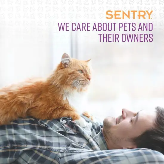Sentry Calming Spray for Cats Helps Calm Pets in Stressful Situations Photo 7