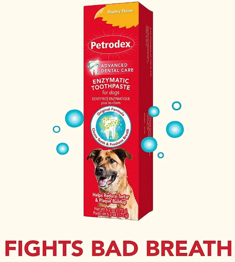 Sentry Petrodex Enzymatic Toothpaste for Dogs Poultry Flavor Photo 4