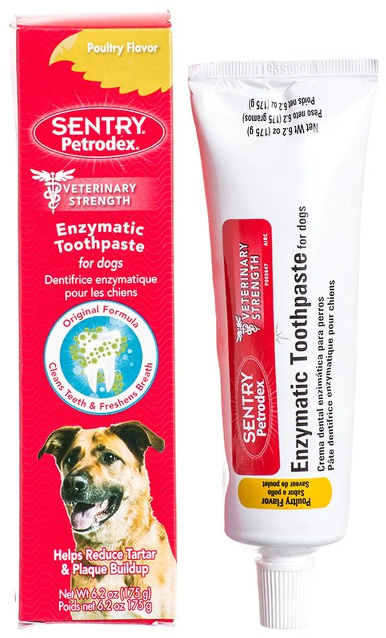 Sentry Petrodex Enzymatic Toothpaste for Dogs Poultry Flavor Photo 1