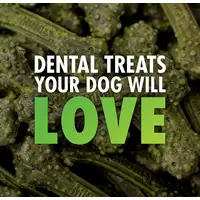 Photo of Sergeants Minties Dental Treats for Dogs Medium Large