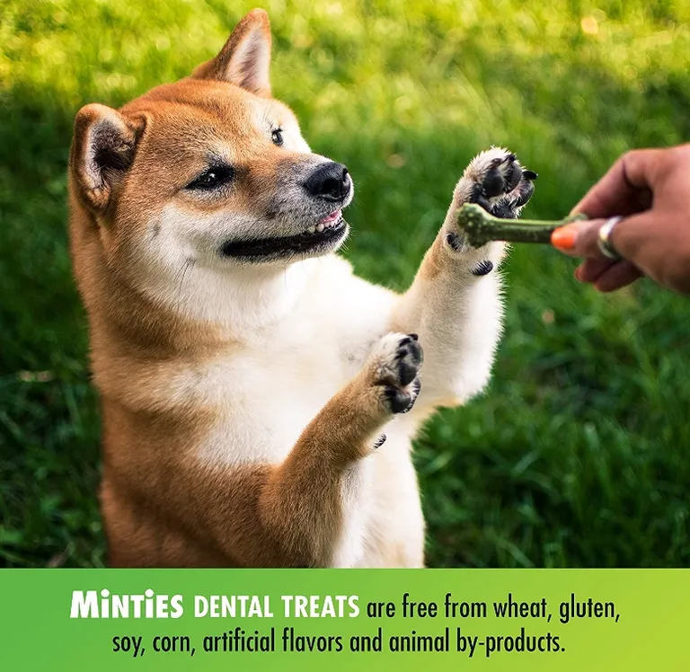 Sergeants Minties Dental Treats for Dogs Medium Large Photo 5