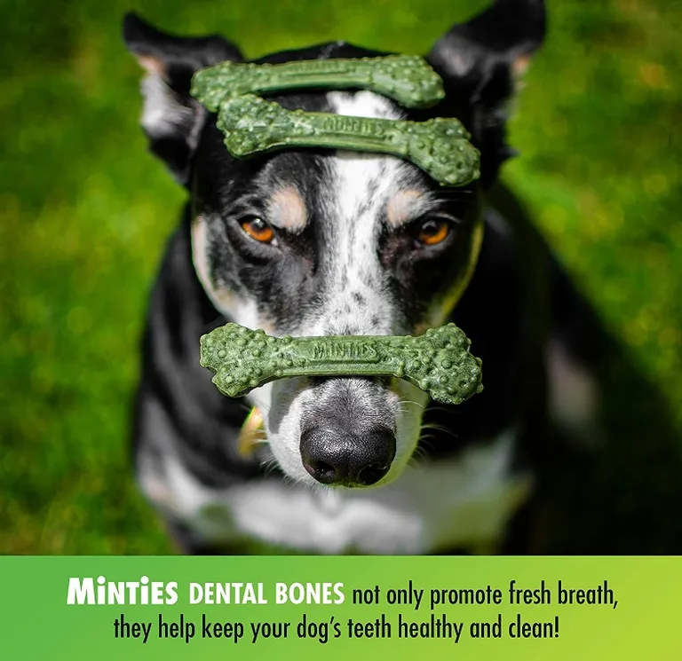 Sergeants Minties Dental Treats for Dogs Medium Large Photo 3