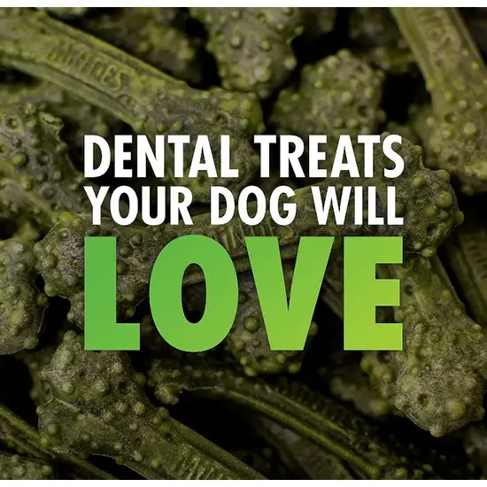 Sergeants Minties Dental Treats for Dogs Medium Large Photo 6