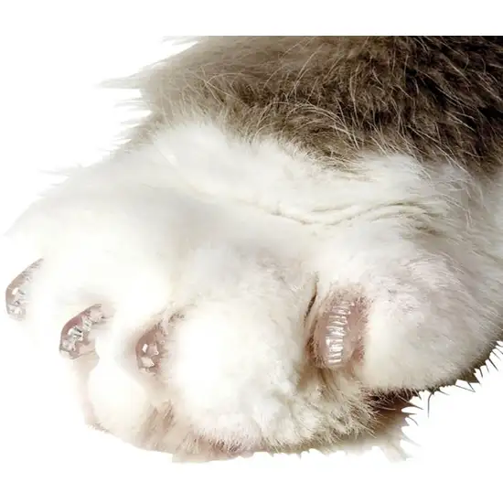 Soft Claws Nail Caps for Cats Clear Photo 4
